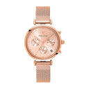 LUTECIA Women's Watch Silver Dial Milanese Steel Bracelet Silver