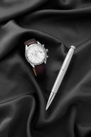 <h3><em>Festina </em>Timeless Chronograph</h3>