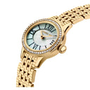 Watch Nemi
