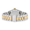 Montre Freedom