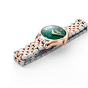 Montre Soleure