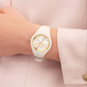 ICE cosmos-Vanilla-Small+-2H